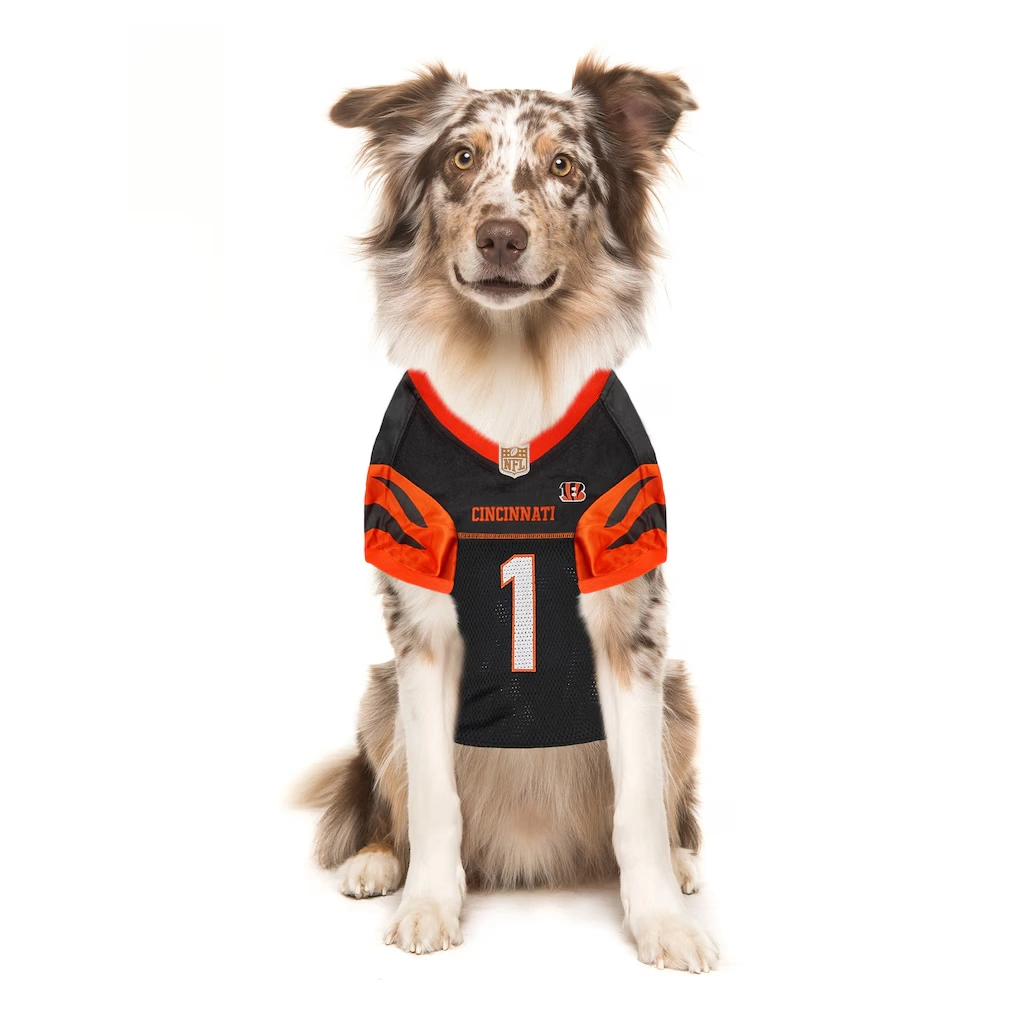 Cincinnati Bengals Ja'Marr Chase Black Player Pet Jersey