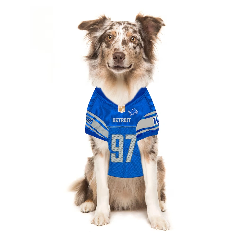 Detroit Lions Aidan Hutchinson Blue Player Pet Jersey